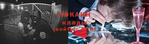 кокс Алексин