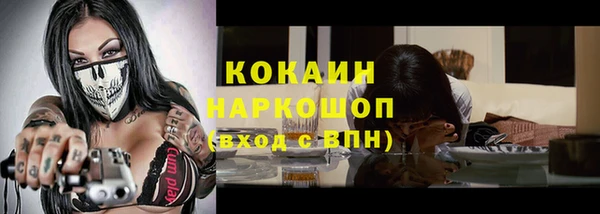 кокс Алексин