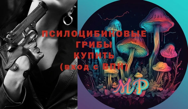 кокс Алексин