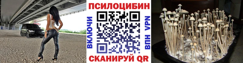 hydra рабочий сайт  shop наркотические препараты  Галлюциногенные грибы Psilocybe  Истра 